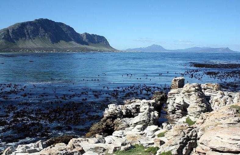 0 Bedroom Property for Sale in Bettys Bay Western Cape
